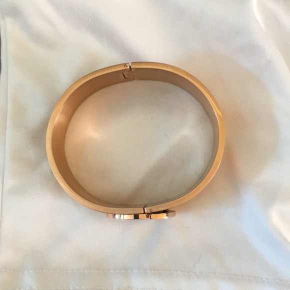 Euforia Brushed Rose Gold Bangle - Picture 4 of 7